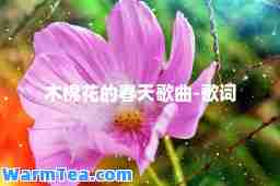 木棉花的春天歌曲-歌词