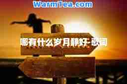 哪有什么岁月静好-歌词