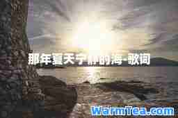 那年夏天宁静的海-歌词