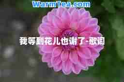我等到花儿也谢了-歌词