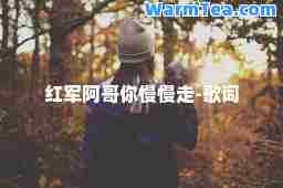 红军阿哥你慢慢走-歌词