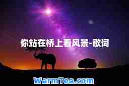 你站在桥上看风景-歌词