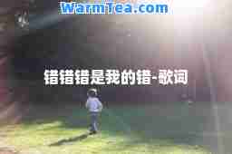 错错错是我的错-歌词