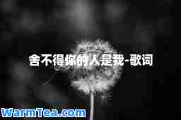 舍不得你的人是我-歌词