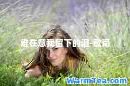 谁在意我留下的泪-歌词