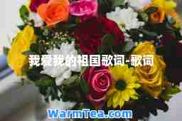 我爱我的祖国歌词-歌词