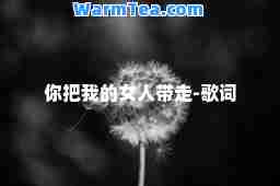 你把我的女人带走-歌词