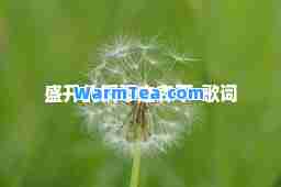 盛开的钢琴之森下-歌词