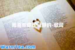 我喜欢你是寂静的-歌词