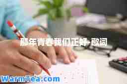 那年青春我们正好-歌词