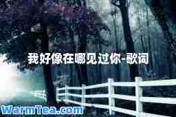 我好像在哪见过你-歌词
