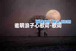 谁明浪子心歌词-歌词
