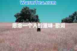 思念一个人的滋味-歌词