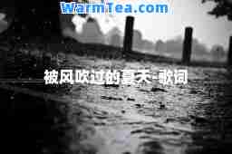 被风吹过的夏天-歌词