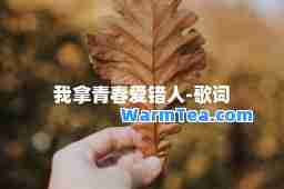 我拿青春爱错人-歌词