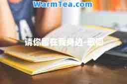 请你留在我身边-歌词