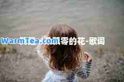 我是一朵飘零的花-歌词
