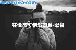 林俊杰可惜没如果-歌词