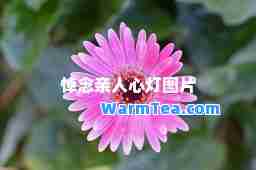 悼念亲人心灯图片