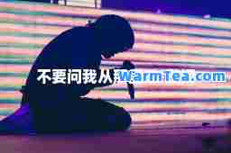 不要问我从那里来-歌词