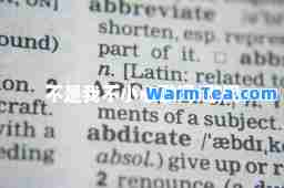 不是我不小心歌词-歌词