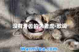 没有牙齿的大老虎-歌词