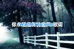 你永远是我的宝贝-歌词