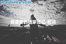 你是我的记忆-歌词