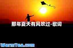 那年夏天有风吹过-歌词