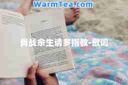 肖战余生请多指教-歌词