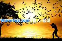 所有人问所有人-歌词
