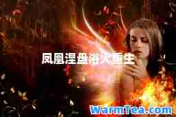 凤凰涅盘浴火重生