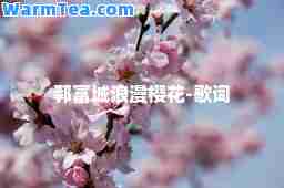 郭富城浪漫樱花-歌词