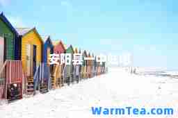 安阳县一中贴吧