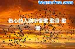 伤心的人别听慢歌 歌词-歌词