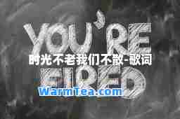 时光不老我们不散-歌词