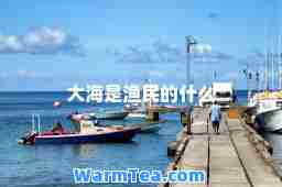 大海是渔民的什么