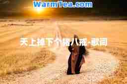 天上掉下个猪八戒-歌词
