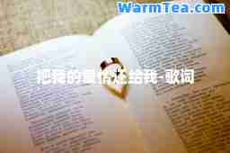 把我的爱情还给我-歌词