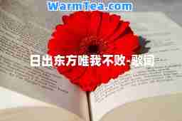 日出东方唯我不败-歌词