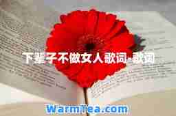 下辈子不做女人歌词-歌词