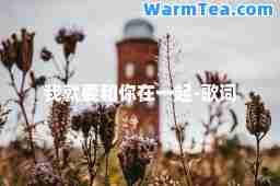我就要和你在一起-歌词