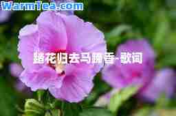 踏花归去马蹄香-歌词