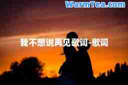 我不想说再见歌词-歌词