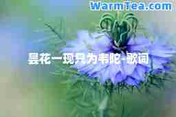 昙花一现只为韦陀-歌词