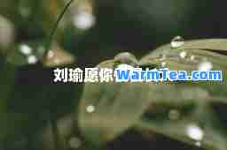 刘瑜愿你慢慢长大