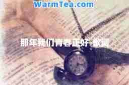 那年我们青春正好-歌词