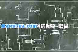 为什么我们相遇网络-歌词