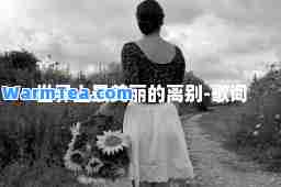世界上最美丽的离别-歌词