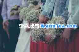 李嘉欣与爱子影